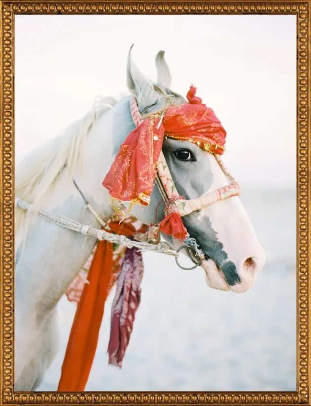 Marwari by Andrew Jacona for Artfully Walls