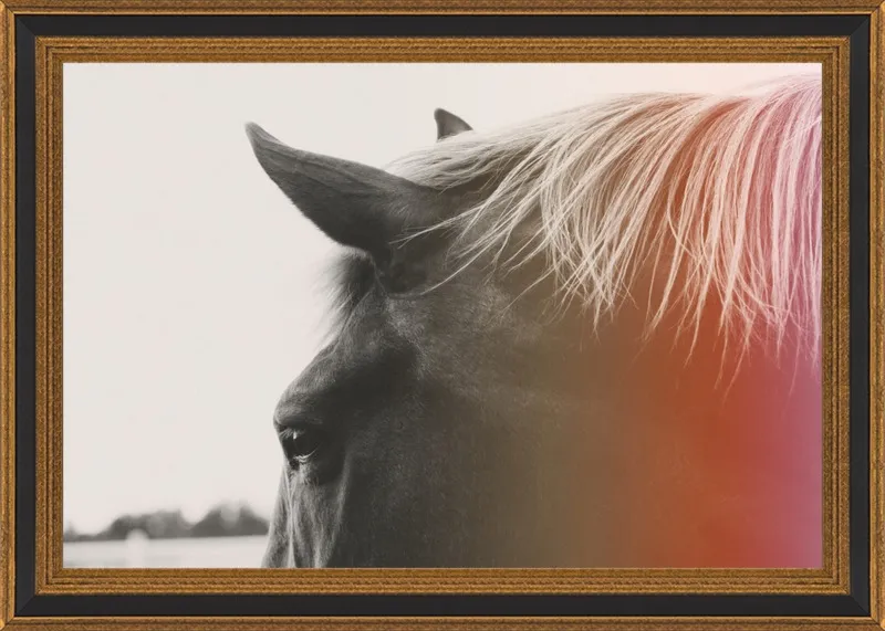 Pink Pony by Alicia Bock for Artfully Walls