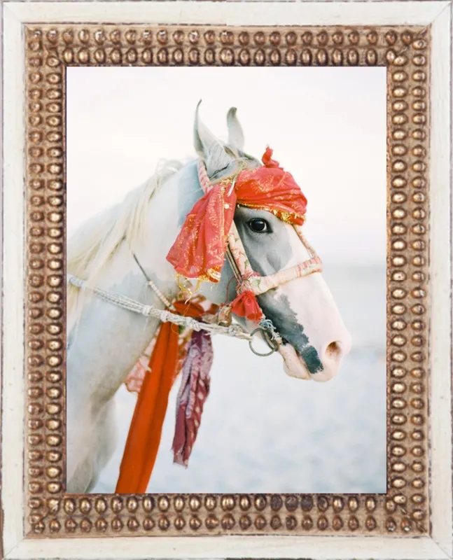 Marwari by Andrew Jacona for Artfully Walls