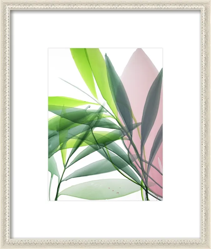 Tropical Study no. 15 by Marina Dunbar  for Artfully Walls