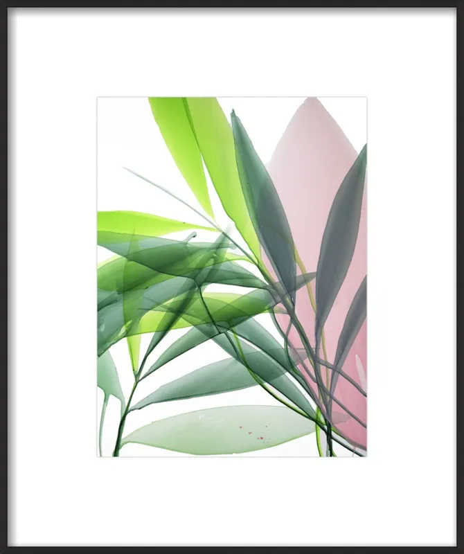 Tropical Study no. 15 by Marina Dunbar  for Artfully Walls