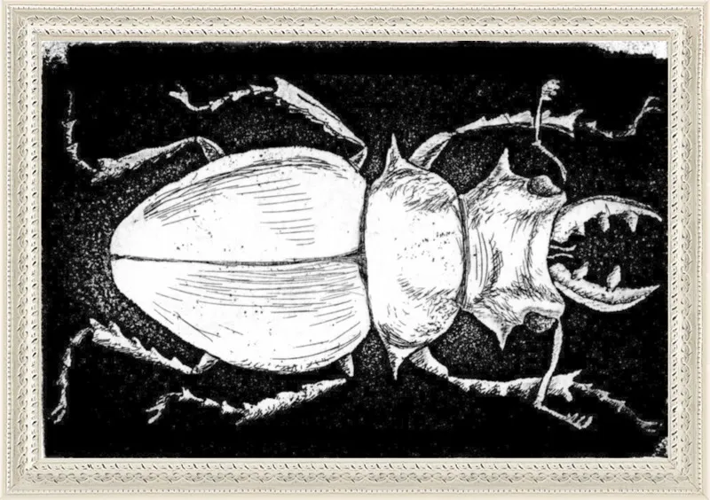 White Beetle on Black by Tennopent Sooster for Artfully Walls