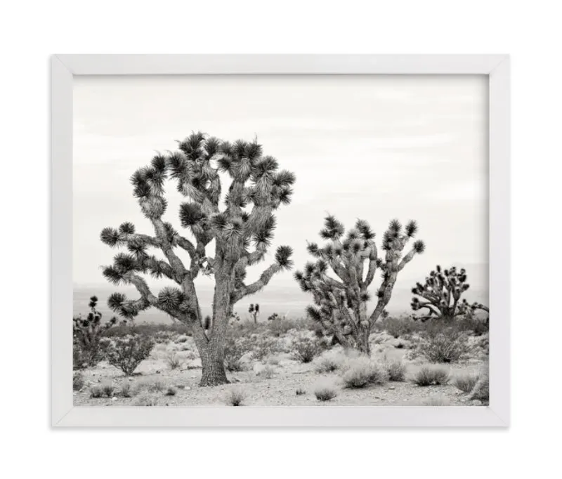 Joshua Tree Limited Edition Fine Art Print