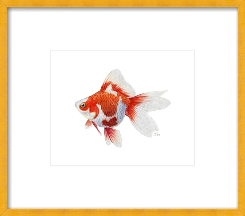 Japanese ryukin goldfish by Emily S. Damstra for Artfully Walls