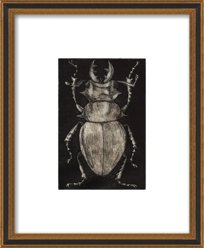 Grey Beetle on Black by Tennopent Sooster for Artfully Walls