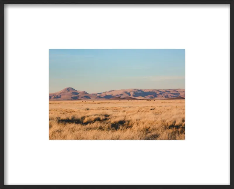 Where the Buffalo Roam by Ann Hudec for Artfully Walls