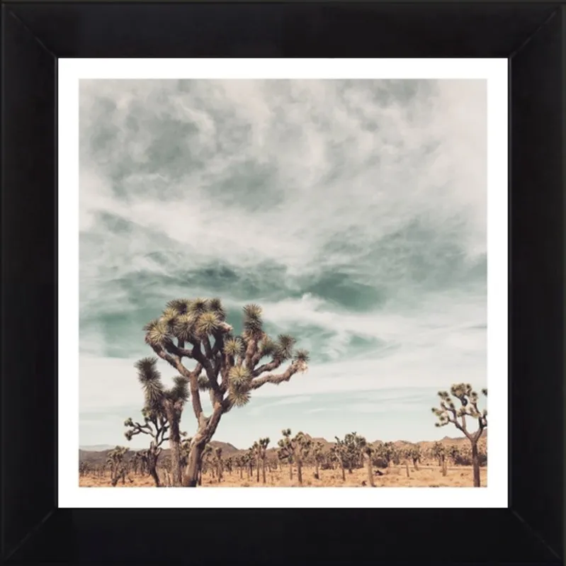 Joshua Tree Moment by Jan Weiss for Artfully Walls