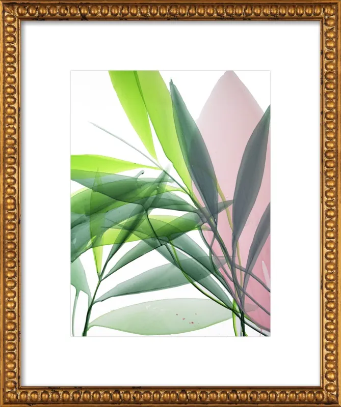 Tropical Study no. 15 by Marina Dunbar  for Artfully Walls