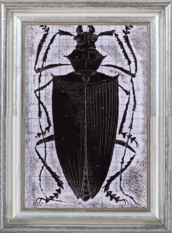 Black Beetle on Grey by Tennopent Sooster for Artfully Walls