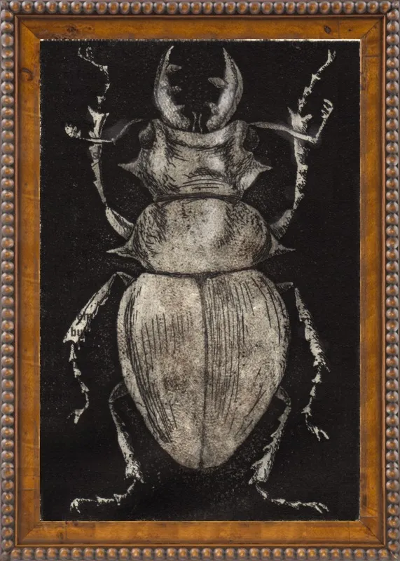 Grey Beetle on Black by Tennopent Sooster for Artfully Walls