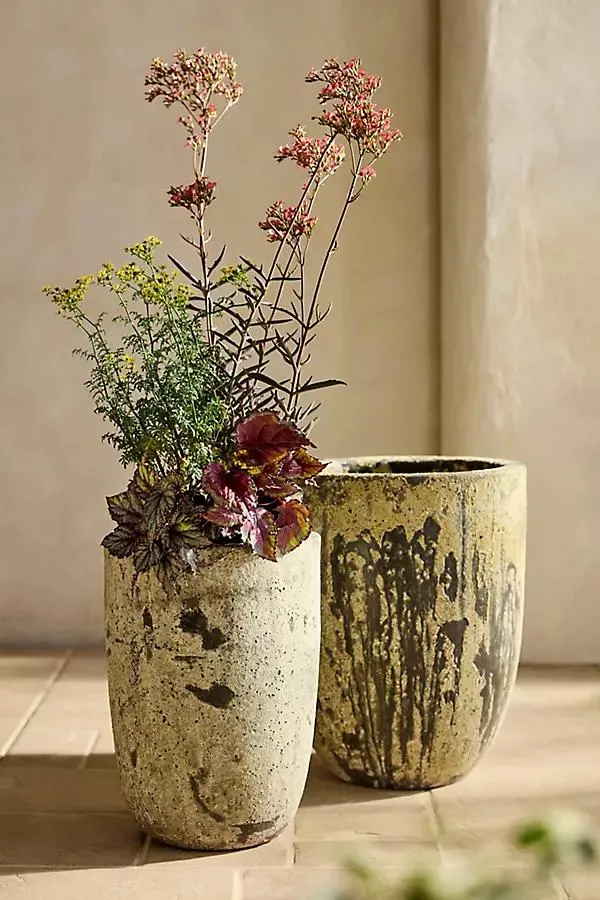 Barnacle Tapered Base Planter