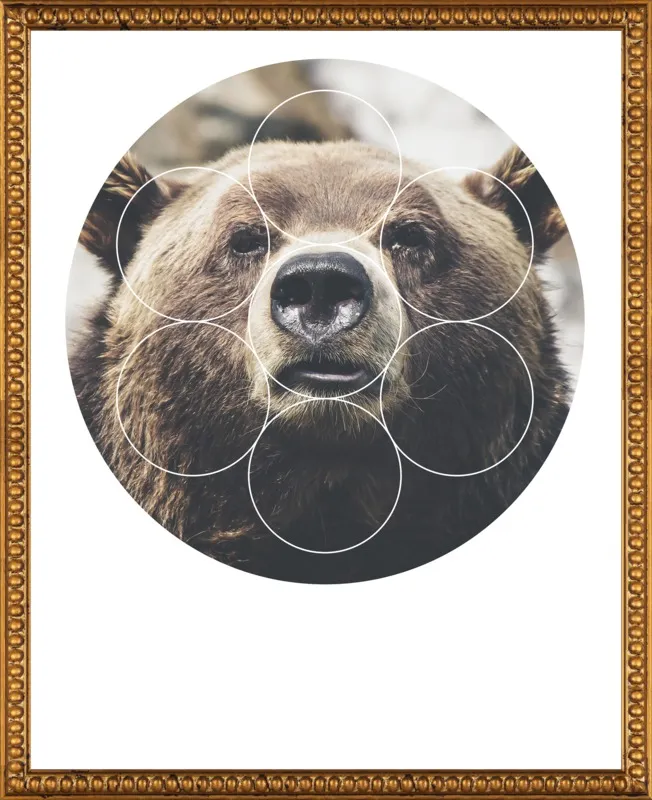 Big Bear Buddy - Geometric Photography by Emiliano Deificus for Artfully Walls