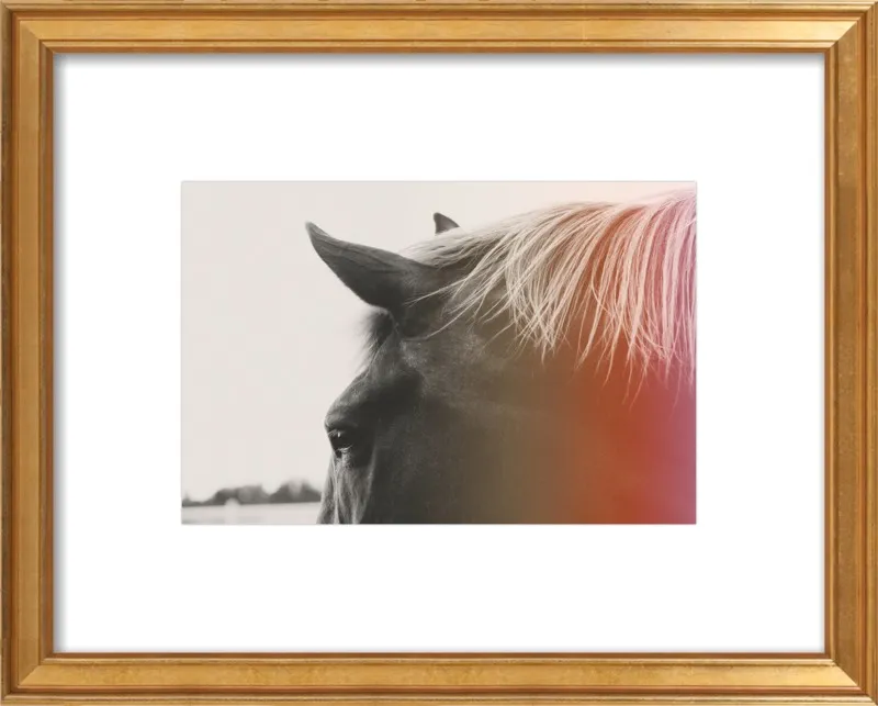 Pink Pony by Alicia Bock for Artfully Walls