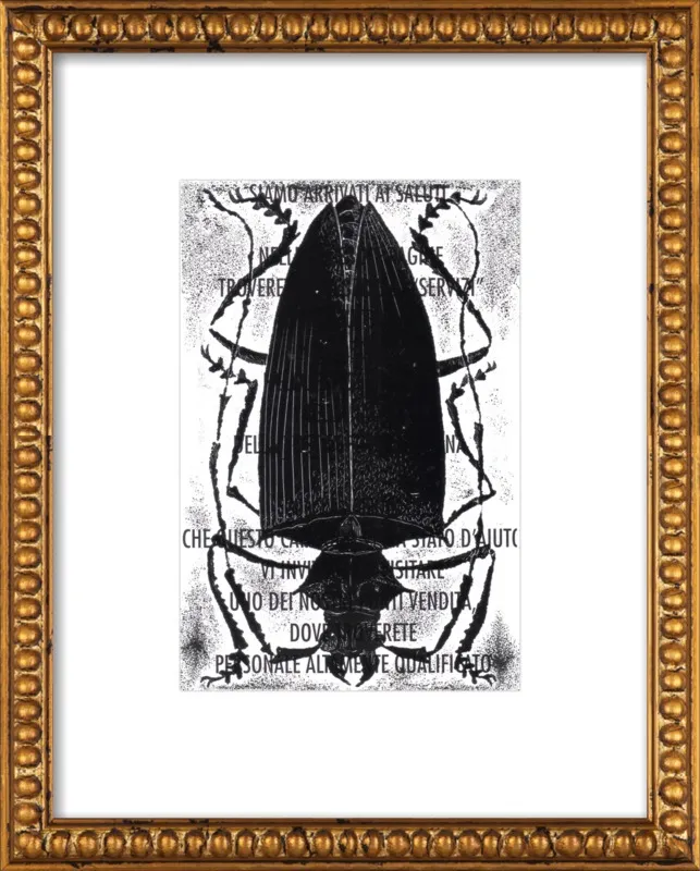 Black Beetle on Words by Tennopent Sooster for Artfully Walls