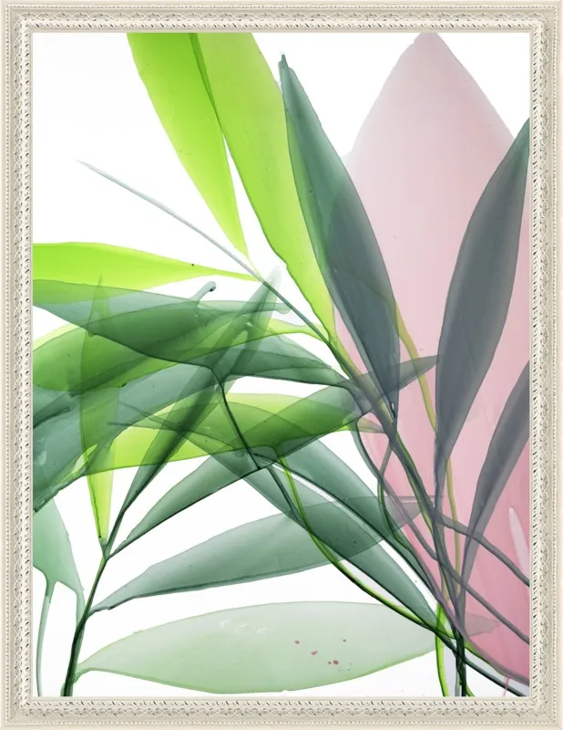 Tropical Study no. 15 by Marina Dunbar  for Artfully Walls