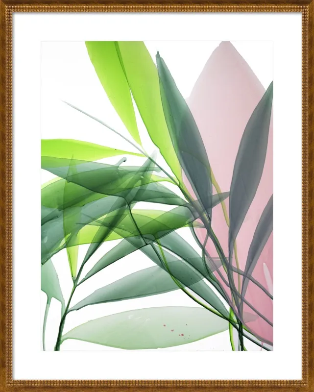 Tropical Study no. 15 by Marina Dunbar  for Artfully Walls