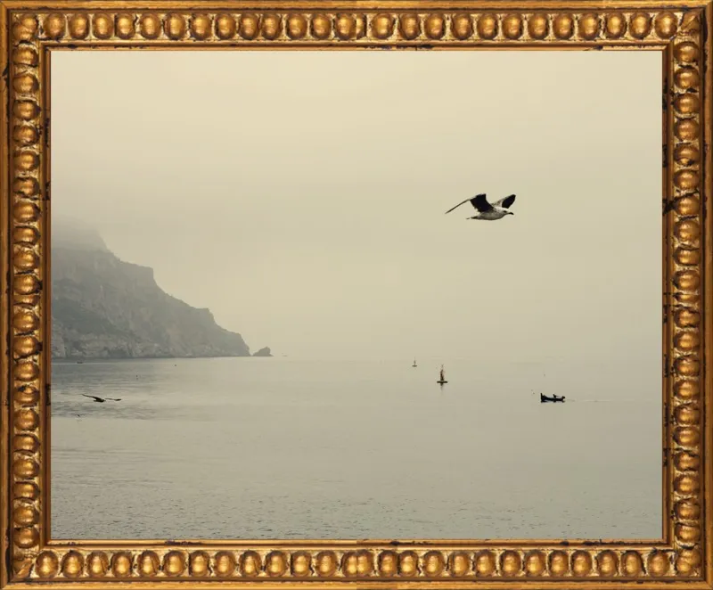 one day I will fly away by Ingrid Beddoes for Artfully Walls