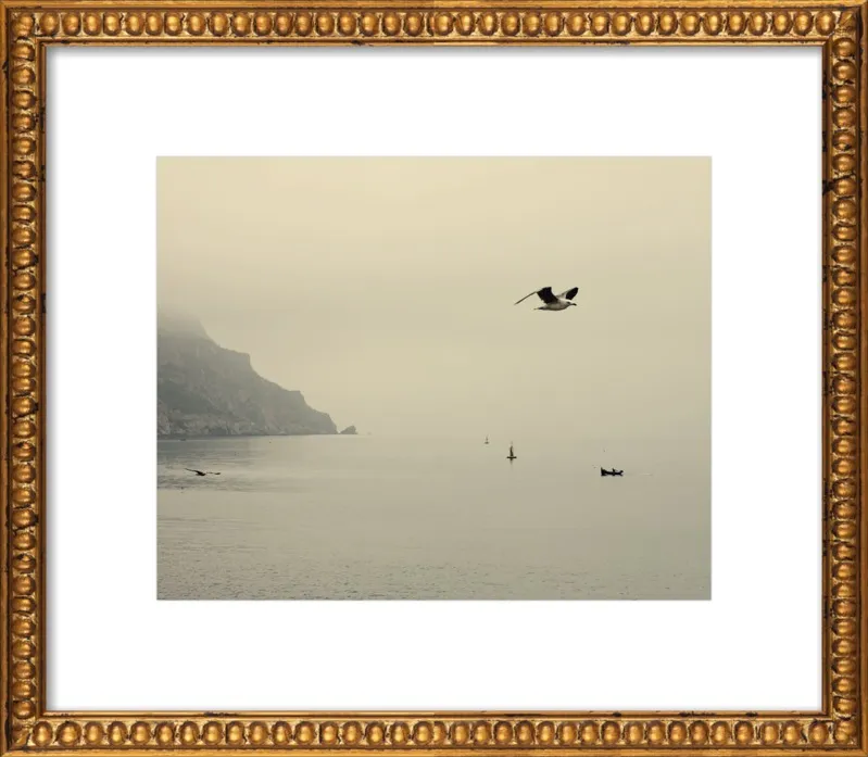 one day I will fly away by Ingrid Beddoes for Artfully Walls
