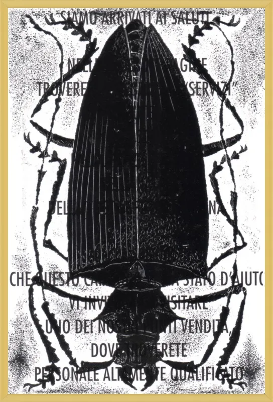 Black Beetle on Words by Tennopent Sooster for Artfully Walls