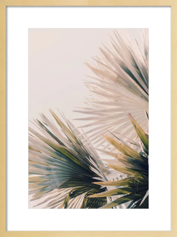 Capacity by Alicia Bock for Artfully Walls