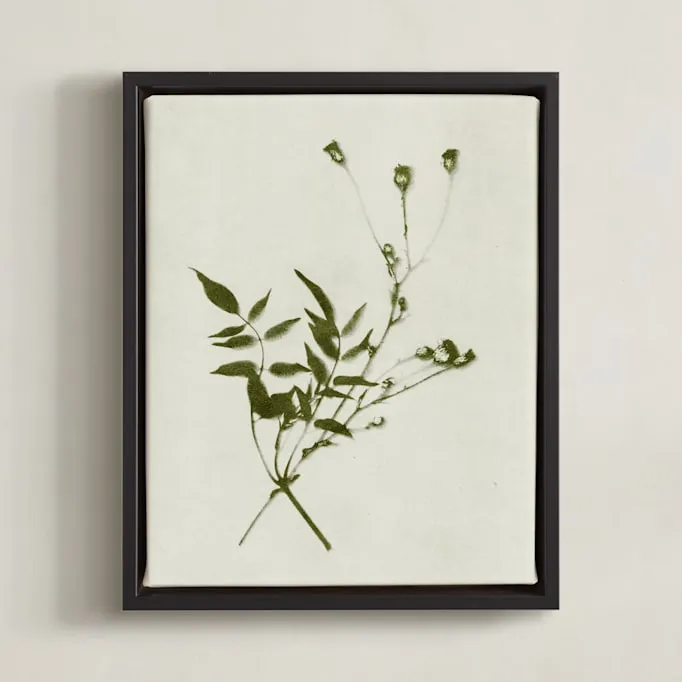 Foraged 4 Open Edition Fine Art Print