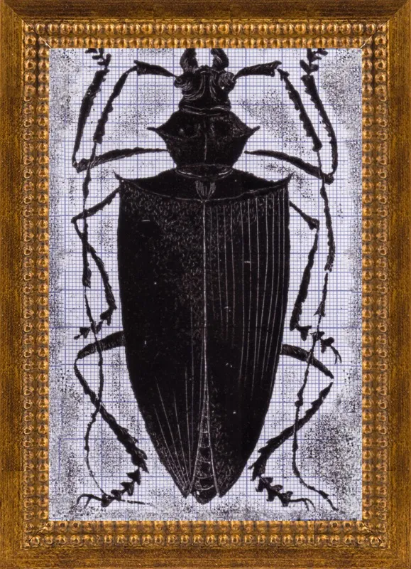 Black Beetle on Grey by Tennopent Sooster for Artfully Walls