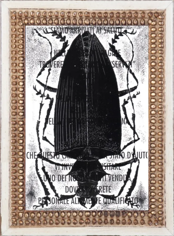 Black Beetle on Words by Tennopent Sooster for Artfully Walls