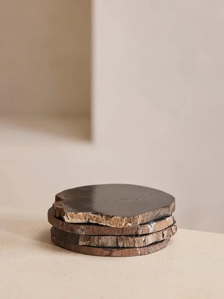 Balfern Petrified Wood Coasters, Black, Set of Four
