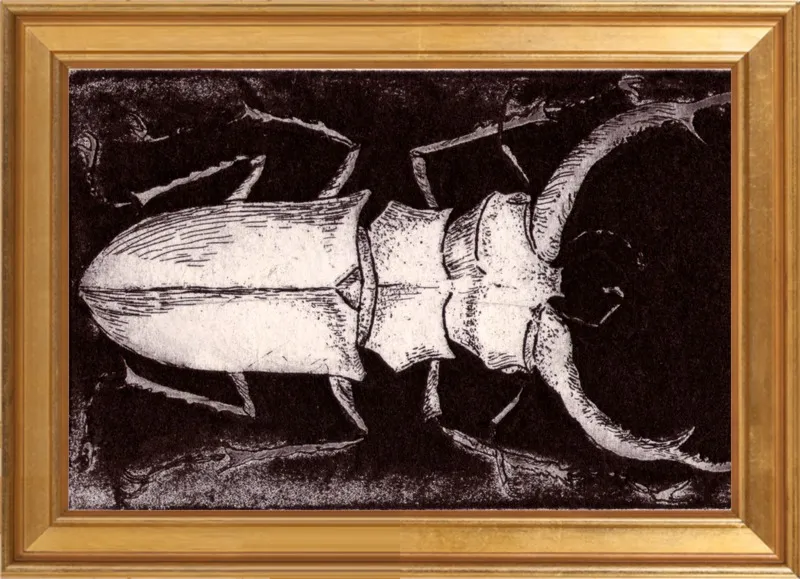 White Beetle on Dark Brown by Tennopent Sooster for Artfully Walls