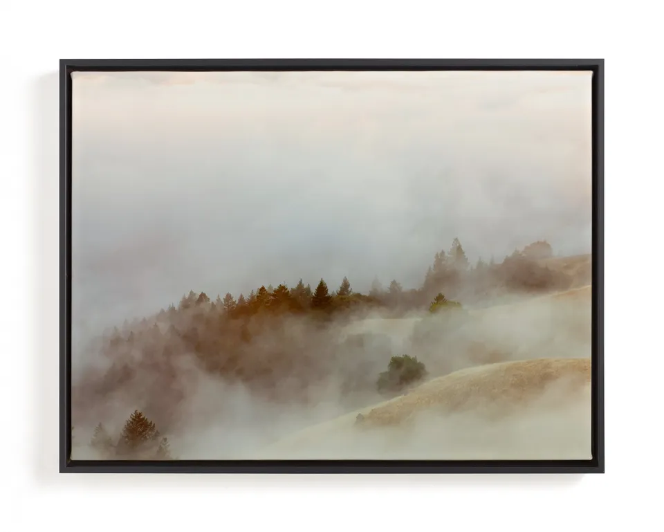 Summer Fog Limited Edition Fine Art Print