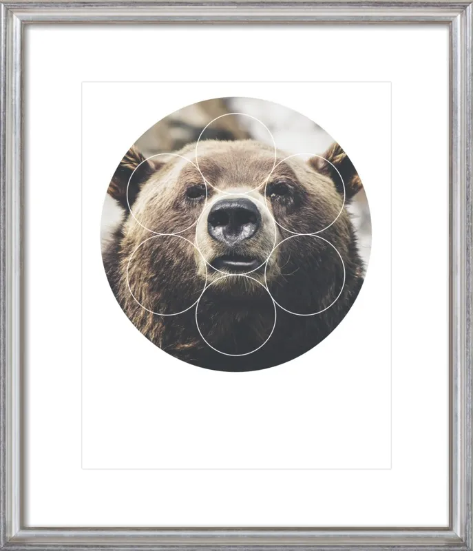 Big Bear Buddy - Geometric Photography by Emiliano Deificus for Artfully Walls