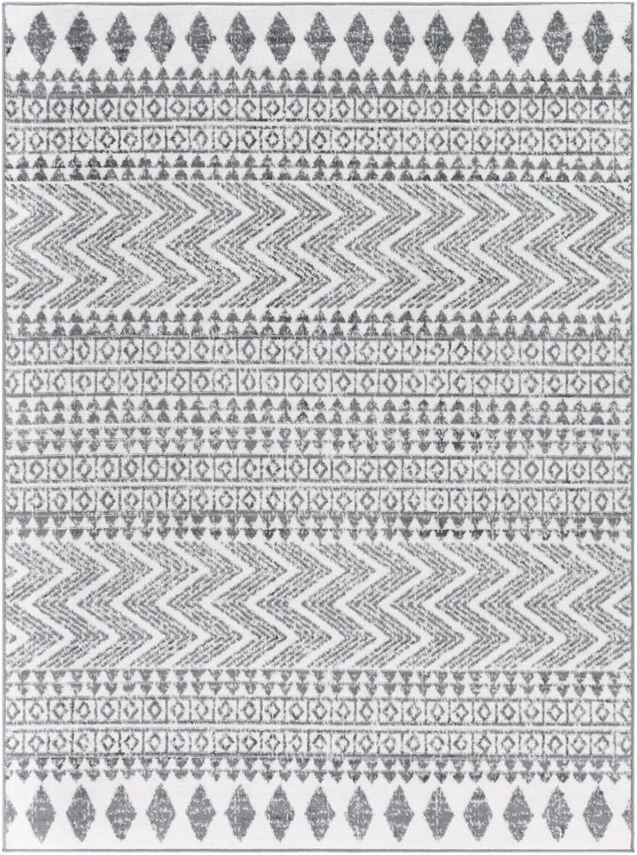 Cesar Gray Indoor 5'3" x 7' Machine Woven Rug
