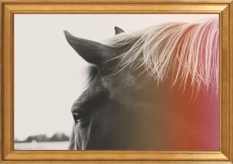 Pink Pony by Alicia Bock for Artfully Walls