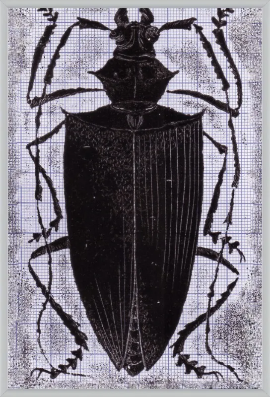 Black Beetle on Grey by Tennopent Sooster for Artfully Walls