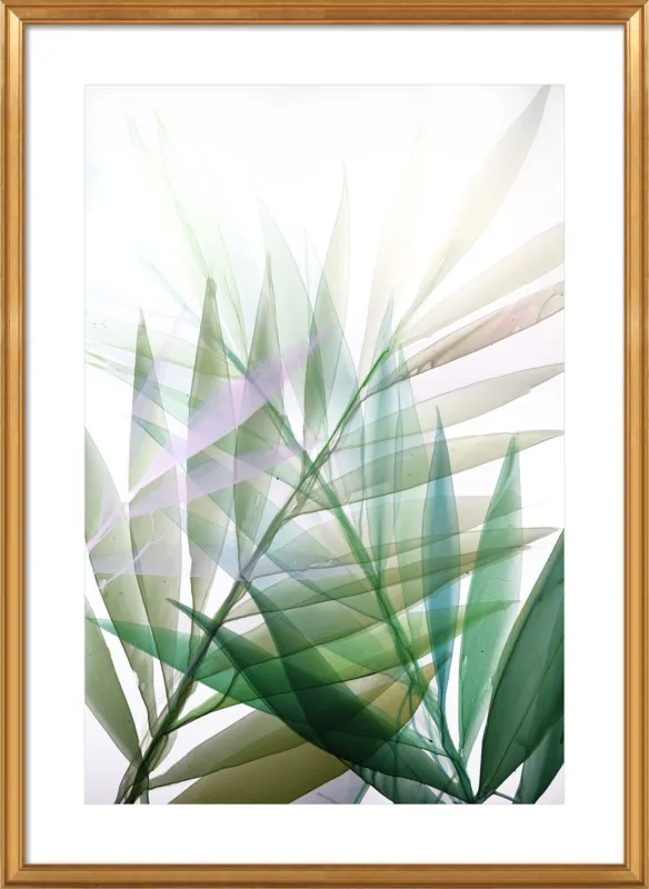 Tropical Study no. 8 by Marina Dunbar  for Artfully Walls