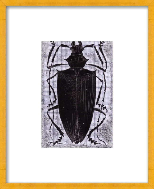 Black Beetle on Grey by Tennopent Sooster for Artfully Walls