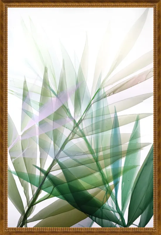 Tropical Study no. 8 by Marina Dunbar  for Artfully Walls