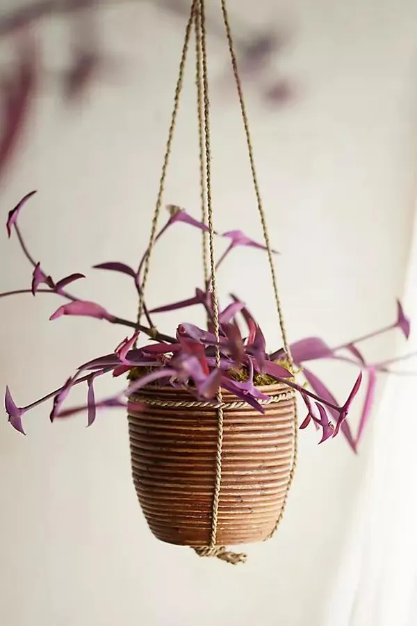 Hanging Rattan Stripe Basket Planter