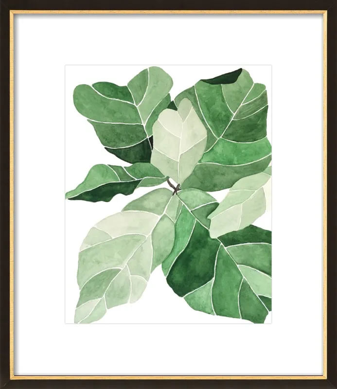 Fiddle Leaf Fig by Emily Grady Dodge for Artfully Walls