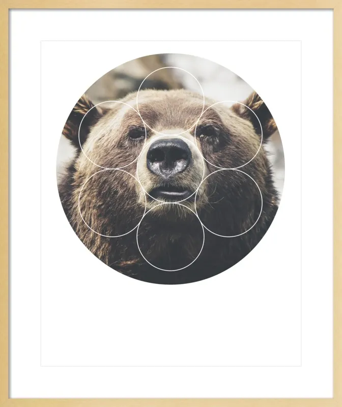 Big Bear Buddy - Geometric Photography by Emiliano Deificus for Artfully Walls