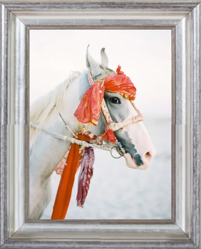 Marwari by Andrew Jacona for Artfully Walls