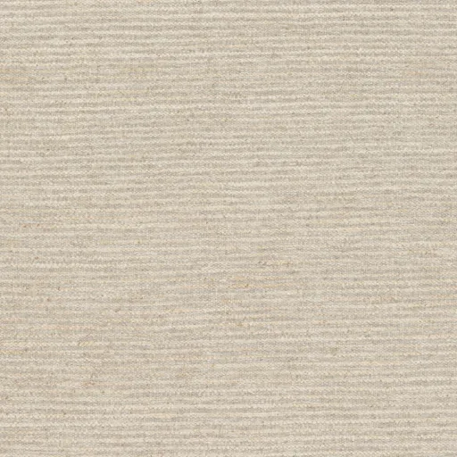 Fiji Gray Indoor 8' x 11' Handmade Rug