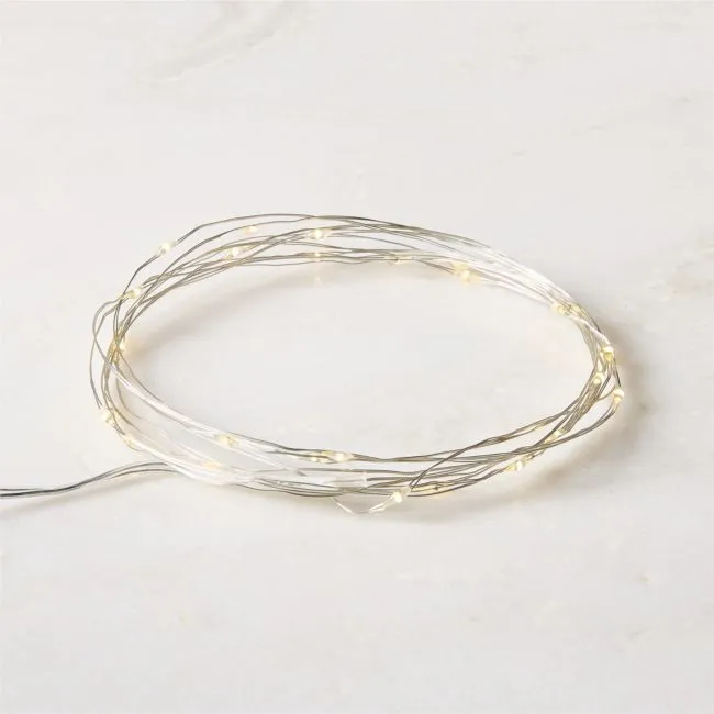 LED Indoor/ Outdoor 10' String Lights