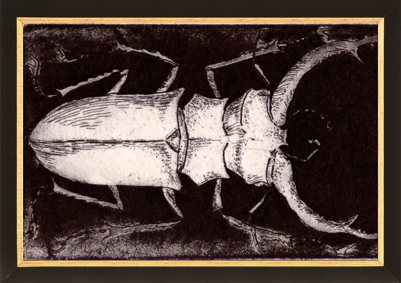 White Beetle on Dark Brown by Tennopent Sooster for Artfully Walls