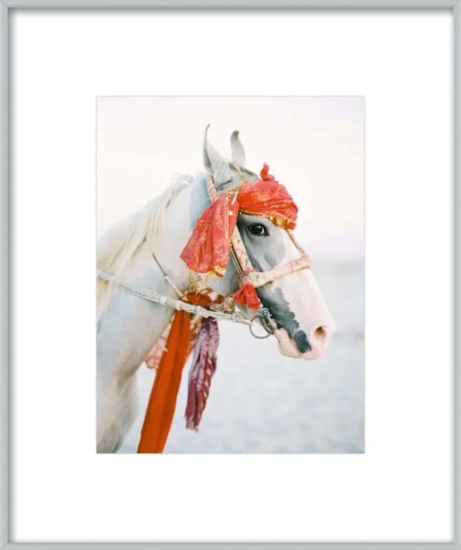 Marwari by Andrew Jacona for Artfully Walls