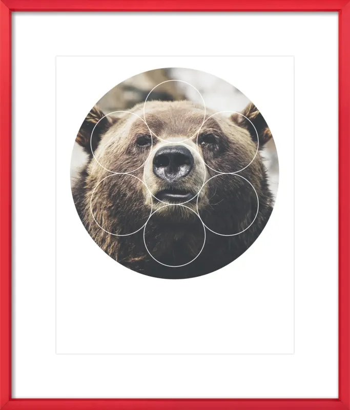 Big Bear Buddy - Geometric Photography by Emiliano Deificus for Artfully Walls
