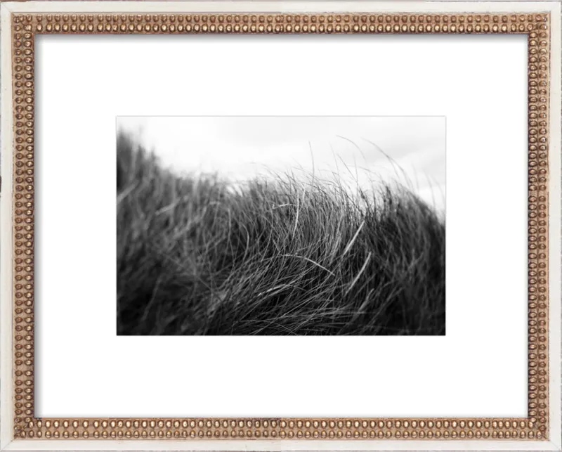 Beach Grass #3 by Alicia Bock for Artfully Walls