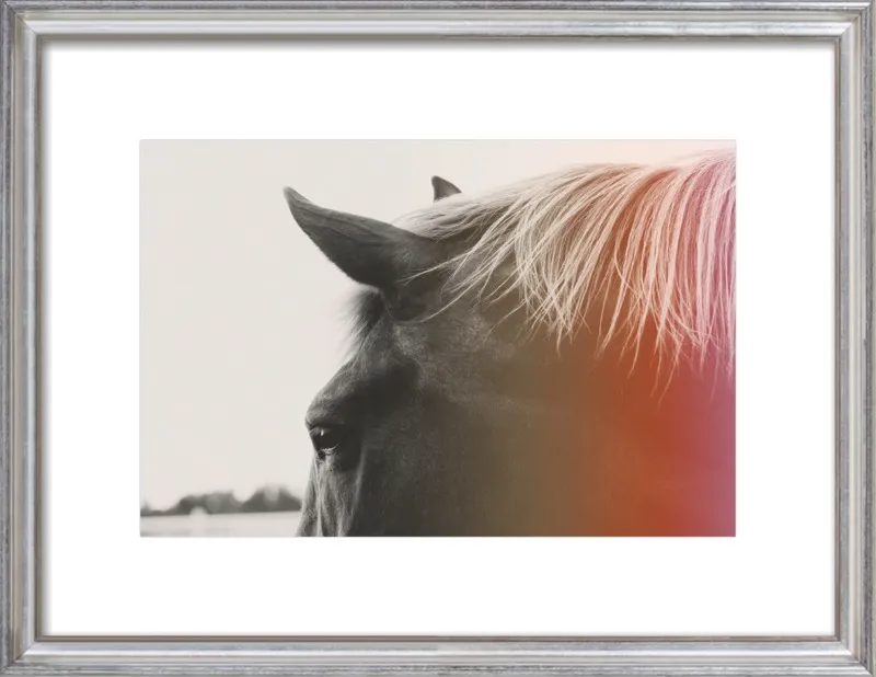 Pink Pony by Alicia Bock for Artfully Walls