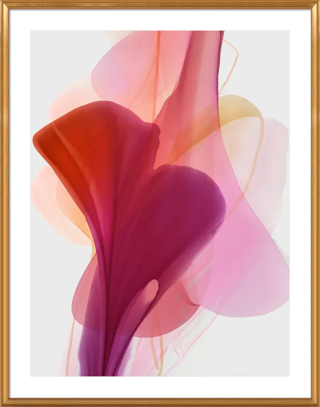 Abstract Flora Bloomlands 33 by Marta Spendowska for Artfully Walls