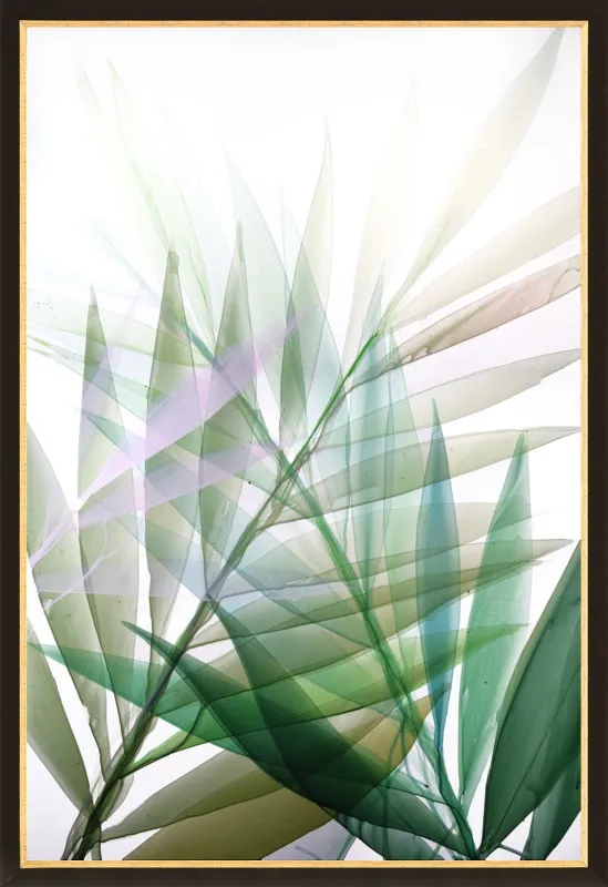 Tropical Study no. 8 by Marina Dunbar  for Artfully Walls